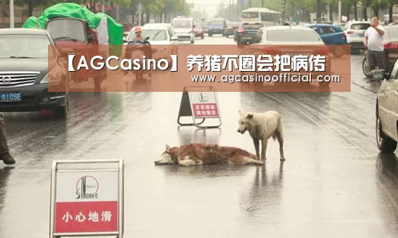 【AGCasino】养猪不圈会把病传(图2) AG通道