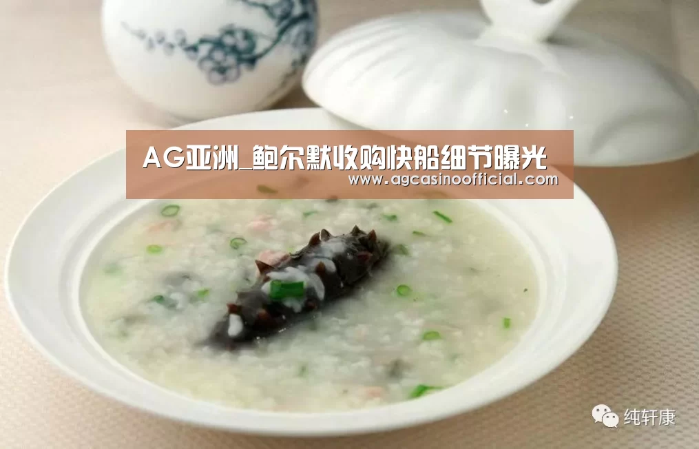 AG亚洲_鲍尔默收购快船细节曝光(图1)