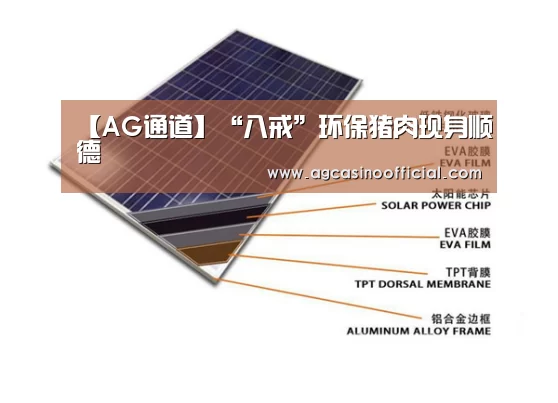 【AG通道】“八戒”环保猪肉现身顺德(图2) AG通道