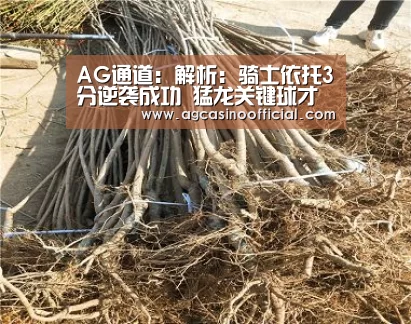 AG通道:解析:骑士依托3分逆袭成功 猛龙关键球才能差(图2) AG通道