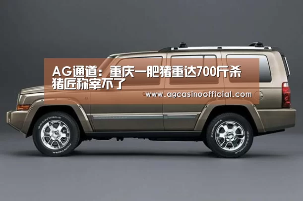 AG通道：重庆一肥猪重达700斤杀猪匠称宰不了(图2)