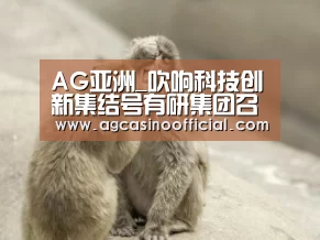 AG亚洲_吹响科技创新集结号有研集团召开2019年科技创新大会(图1) AG通道